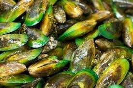 Green Lipped Mussel in performance dog supplement product by Canine Performance Nutrition